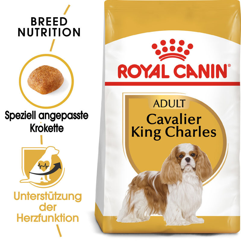 Cavalier King Charles Adult 7,5kg