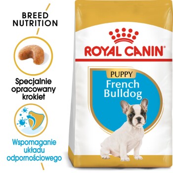 Buldog francuski Puppy 3 kg