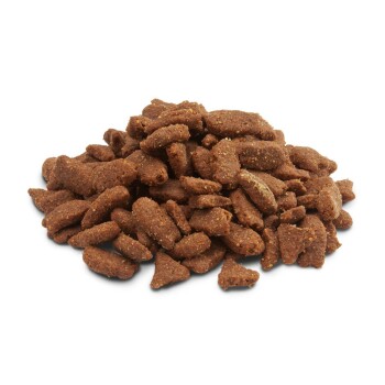 Crispy Pellets - Ferrets 3kg