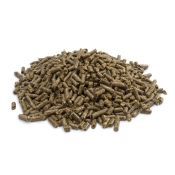Crispy Pellets Granulat dla szynszyli i koszatniczek 25 kg