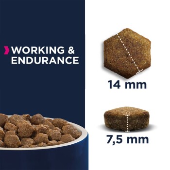Premium Working & Endurance Huhn 15kg