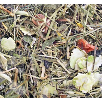 Grainless Herbs Zwergkaninchen 3x400g