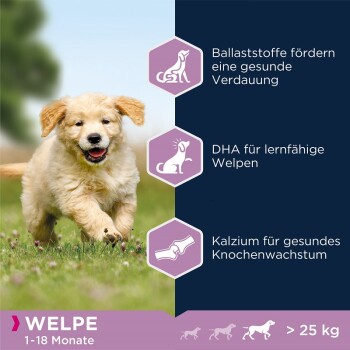 Puppy Lamm & Reis 12kg