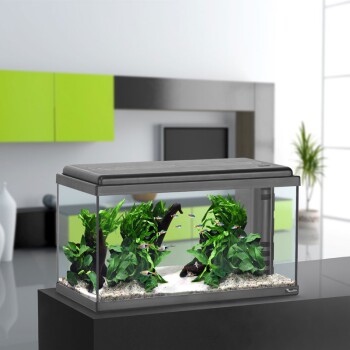 Aquarienset LED schwarz