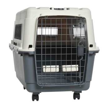 Caisses De Transport Pour Chats Xl Dans La Boutique En Ligne Maxi Zoo