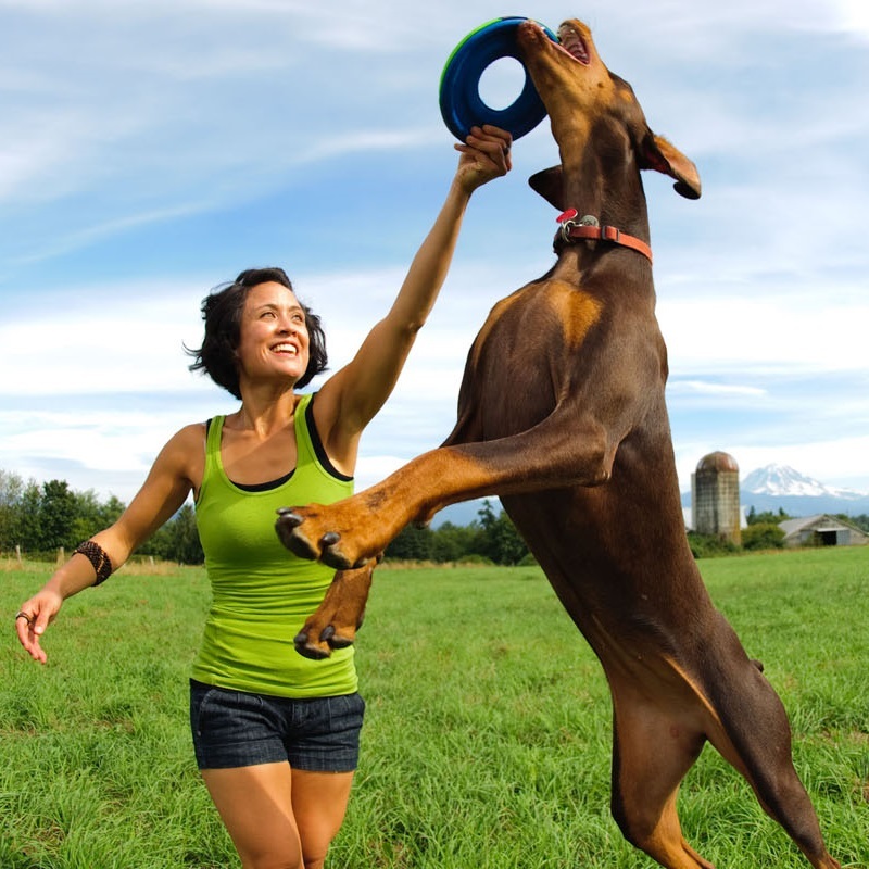 chuck it dog frisbee