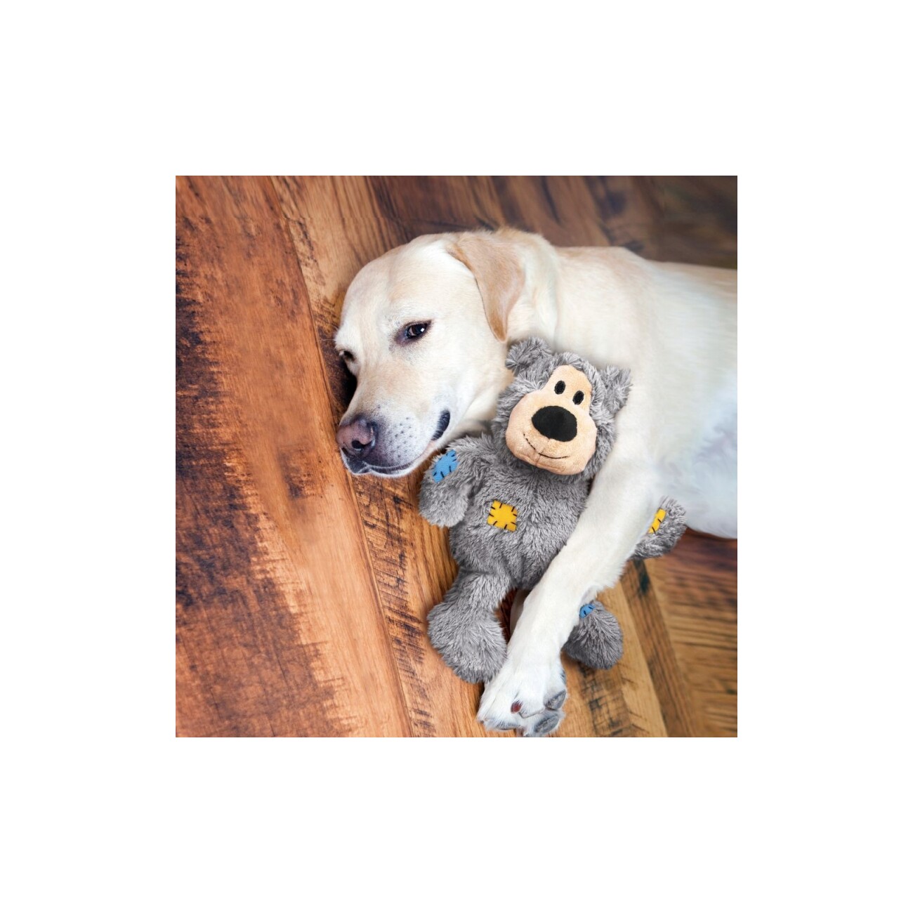 Kong Wild Knots Bear S M Fressnapf