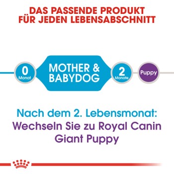 Giant Starter Mother & Babydog 15kg 15kg