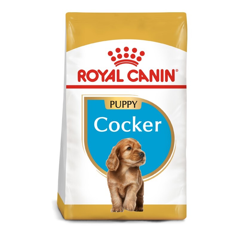 royal canin junior cocker