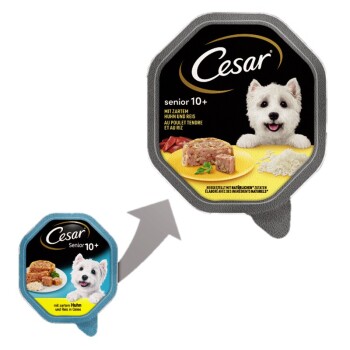 Senior 10+ 14 x 150 g Poulet et riz en gele