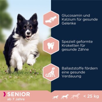 Senior Small & Medium Breed Lamm & Reis 12kg