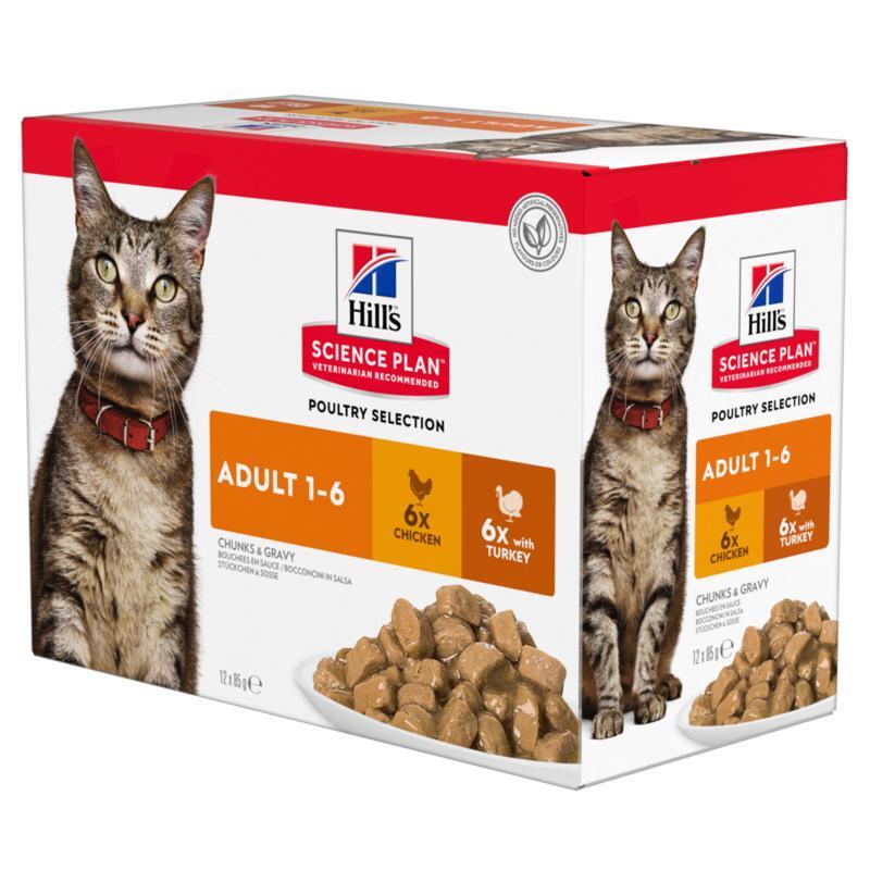 Nourriture pour chiens et chats Hillu0027s  MAXI ZOO