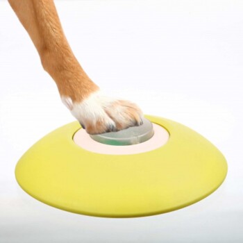 Dog Activity Memory Trainer
