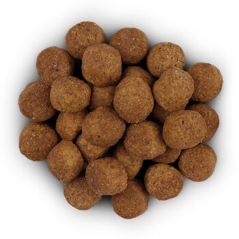 Hill’s Prescription Diet Joint Care j/d Reduced Calorie 12 kg