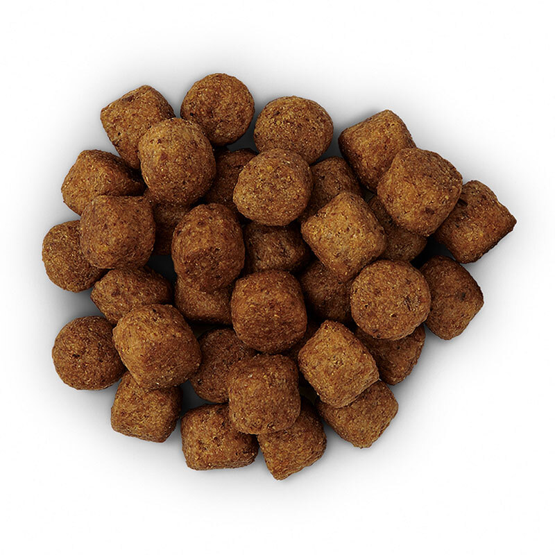 Prescription Diet j/d Croquettes chien Joint Care poulet 12 kg