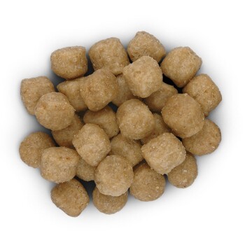 Prescription Diet Food Sensitivities d/d Ente und Reis 12kg