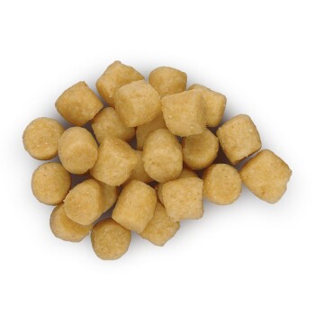 Prescription Diet Food Sensitivities d/d Salmon & Rice 12kg