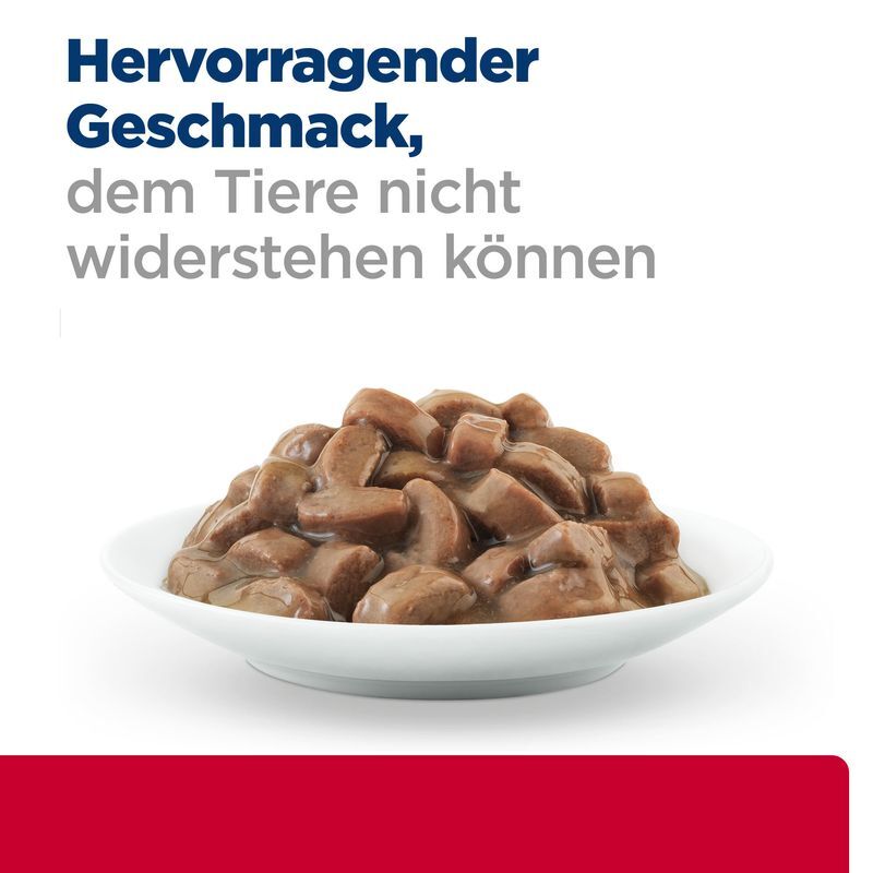 feline urinary stress