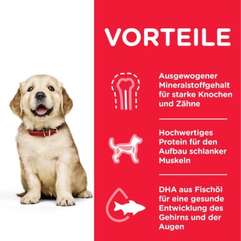 Canine Puppy Large Breed 14,5kg
