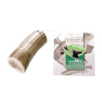 Damhirsch_Geweih_snack_m.jpg