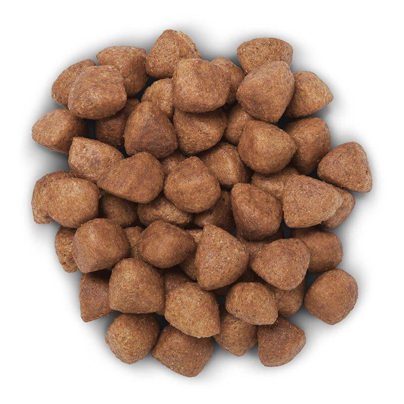 Prescription Diet Croquettes chien Metabolic + Mobility 12 kg