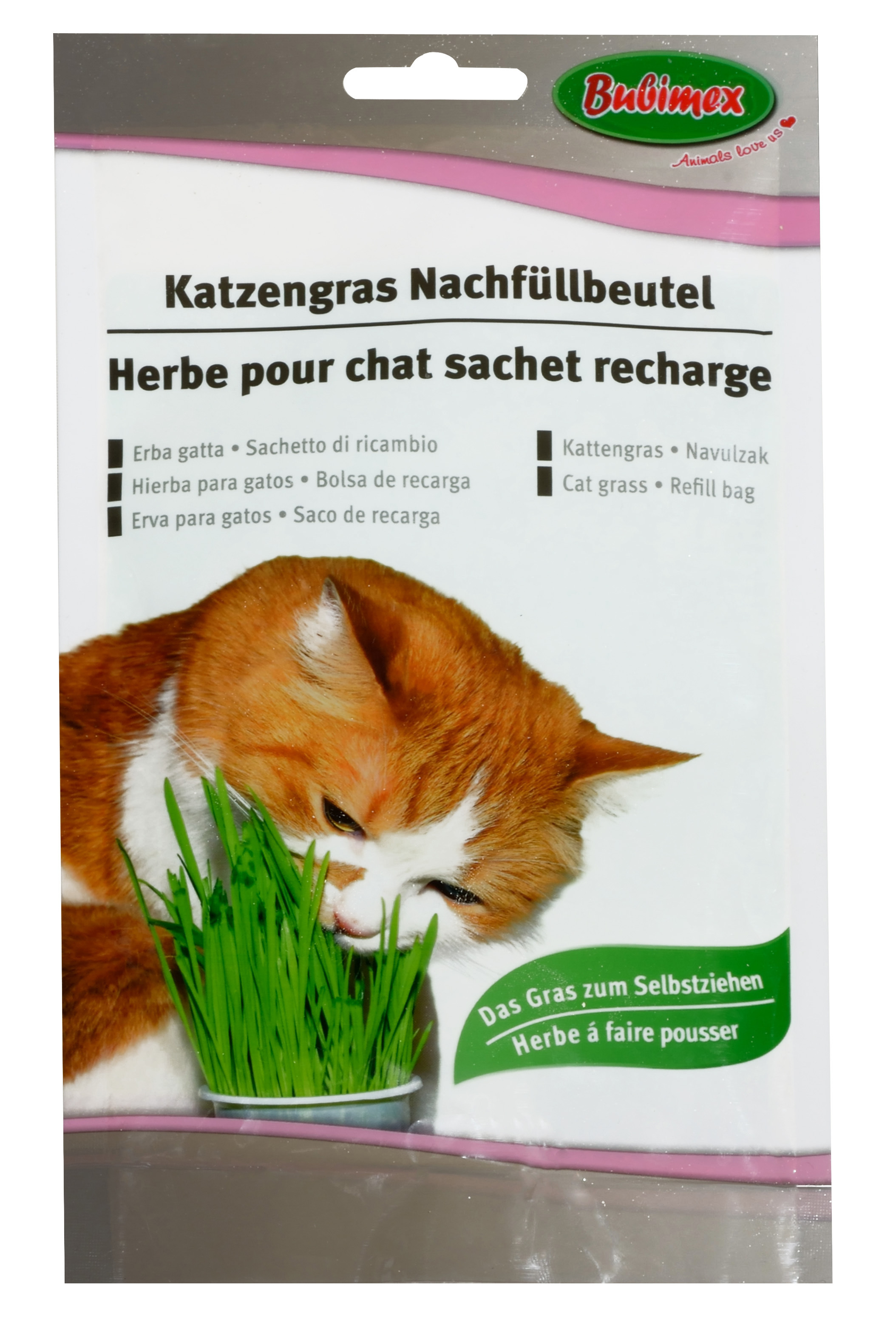 Bubimex Herbe Pour Chat Sachet Recharge 100g Maxi Zoo