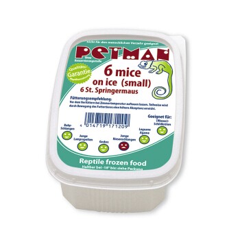 Mice on ice - small Springer 10 x 6 Stück