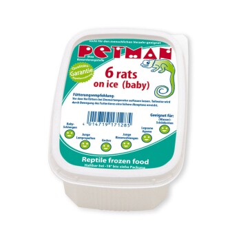 Rats on ice - baby 10 x 6 Stück