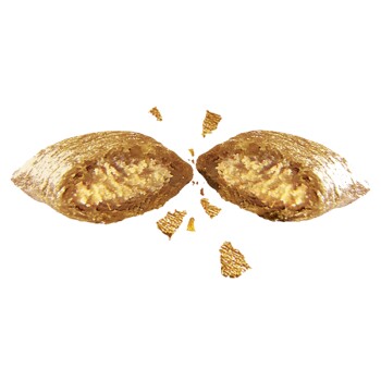 1211123_Foodshot.png