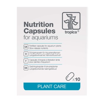 Capsules d’engrais pour plantes