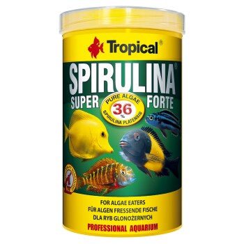 Super Spirulina Forte 1000ml