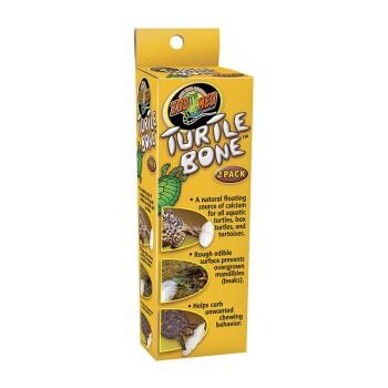 Turtle Bone
