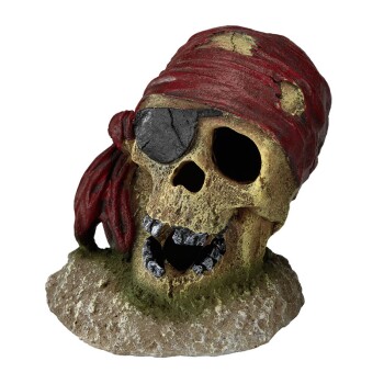Aqua Della Deko Piratenschädel mit Tuch