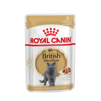 Nourriture Humide Pour Chat Royal Canin Dans La Boutique En Ligne Maxi Zoo