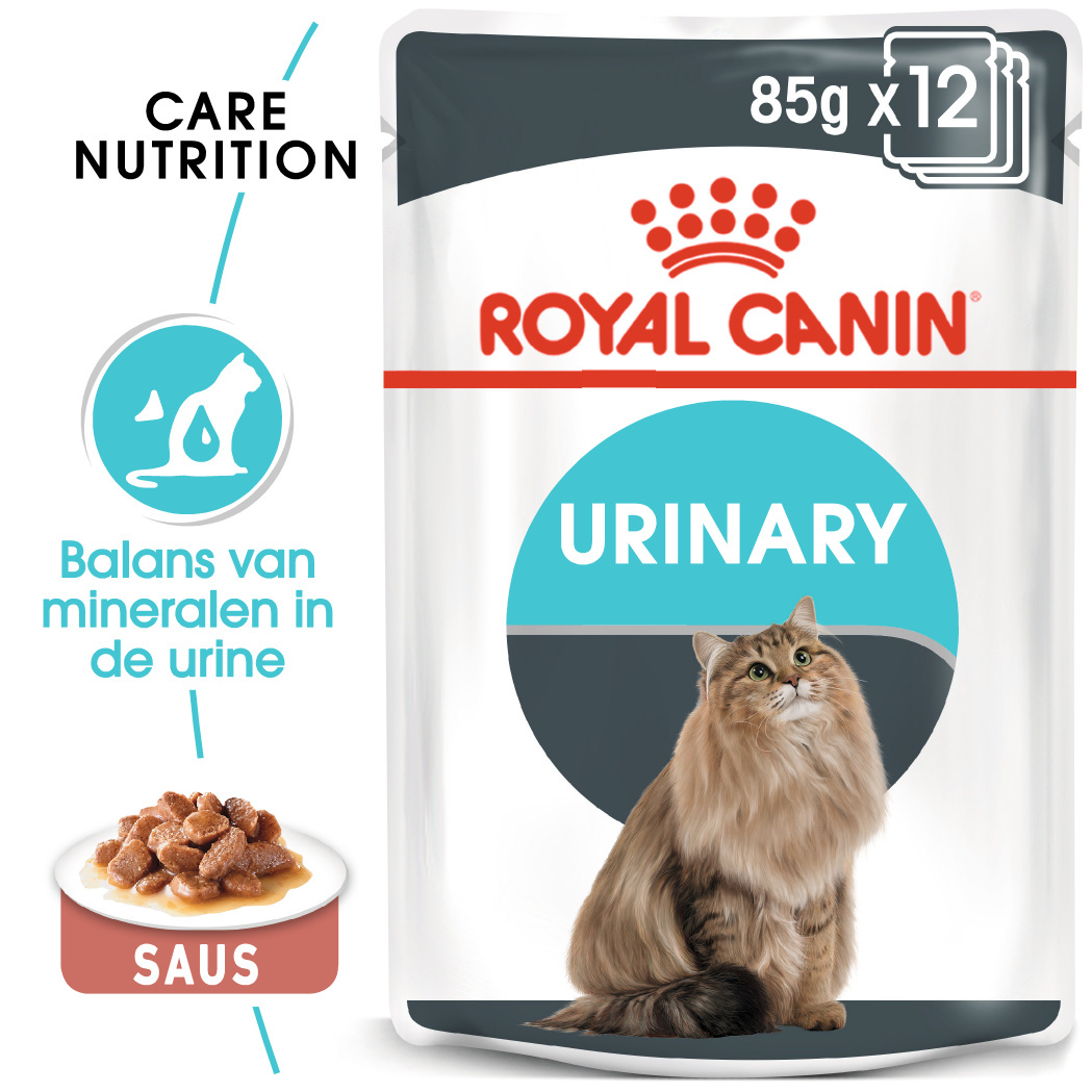 urinary royal canin kat