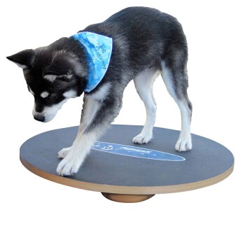 Fitpaws 20 Wobble Board