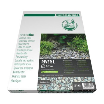 Planta Hunter River L 8-12mm