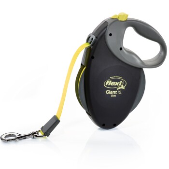 Laisse Giant pour chien XL