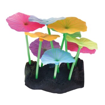 Fluo Reef Lotus