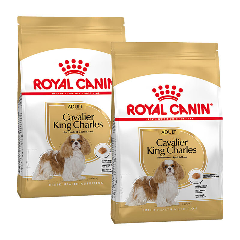 Cavalier King Charles Adult 2x1,5kg