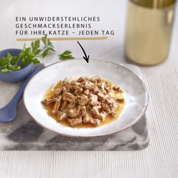 Perle Erlesene Streifen in Sauce Sorten-Mix 60x85g