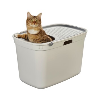 1245721_AO_Toilette_Top_Entry.PNG