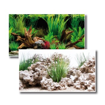 Film pour paroi arrière « Wonder » 150 x 60 cm