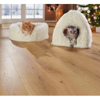 Cuccia Cosy Dream