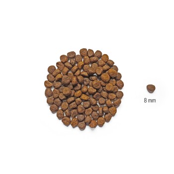 Dog´s Love Junior Kurczak i bataty 2 kg