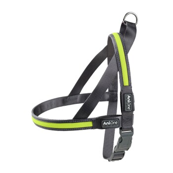 Szelki z oświetleniem LED Żółty XL