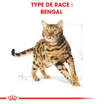 Royal Canin Bengal Adulte 10 Kg Maxi Zoo Royal Canin Bengal Adulte 10 Kg Maxi Zoo