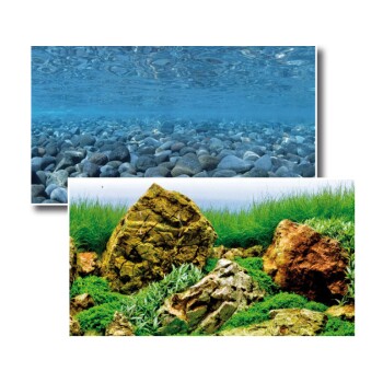 Film pour paroi arrière « Vision » 150 x 60 cm