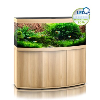 Vision 450 LED SBX Helles Holz