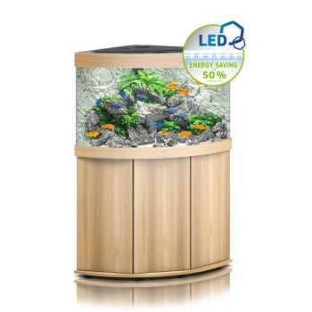 Trigon 190 LED SBX Helles Holz